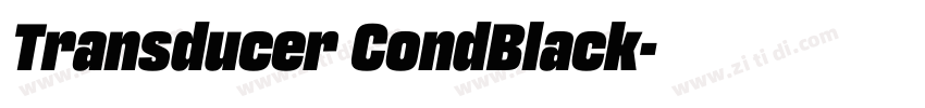 Transducer CondBlack字体转换